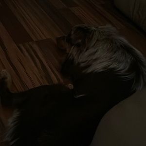 Meet your Posher, Amber